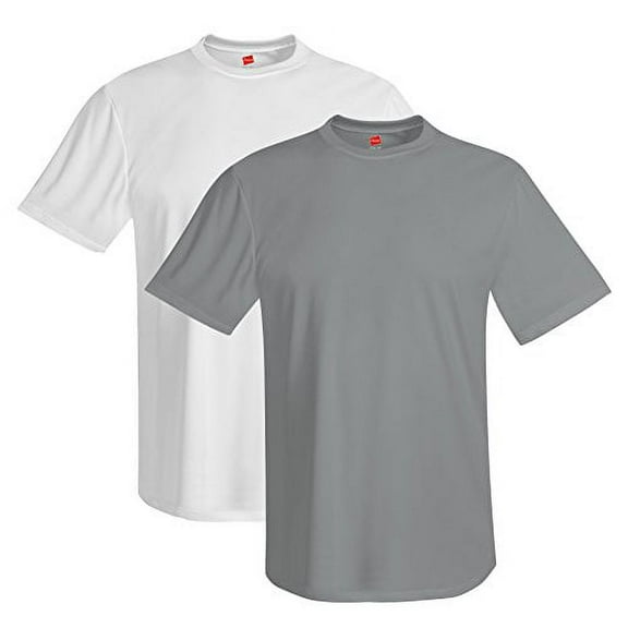 Hanes Mens Sport™ Cool DRI® Performance Tee (Pack of 2) (1 Graphite / 1 White)