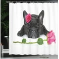 thumbnail image 3 of Ambesonne Valentines Day Shower Curtain, Bulldog with Roses, 69"Wx70"L, Pink and Charcoal Grey, 3 of 4