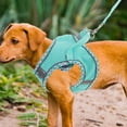 thumbnail image 4 of OULII Pet Leash Polyester Sky Blue Comfortable Fit For Pet Owners 1 Set, 4 of 8