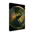 thumbnail image 4 of Canvas Wall Art - Ray Heere 'Proud Peacocks 26' Wall Art for Living Room, Bedroom, or Office Décor by Trademark Fine Art - 30 x 47 Inches, 4 of 4