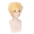 thumbnail image 2 of Peluca para cosplay, karnevals, yoguis, anime, fiesta de Halloween, 2 of 3