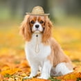 thumbnail image 4 of HERFIER POPETPOP Pet Sombrero Straw Hat Adjustable Hawaii Garden Sun Bucket for Small Dogs Puppy Cats Size S 5.31x5.11x1.38in, 4 of 9