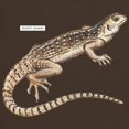 thumbnail image 3 of CafePress - Desert Iguana Dark T Shirt - Men's Classic Graphic Cotton T-Shirt, 3 of 4