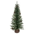 thumbnail image 2 of Vickerman 24" Carmel Pine Artificial Christmas Tree Unlit -C803924, 2 of 4