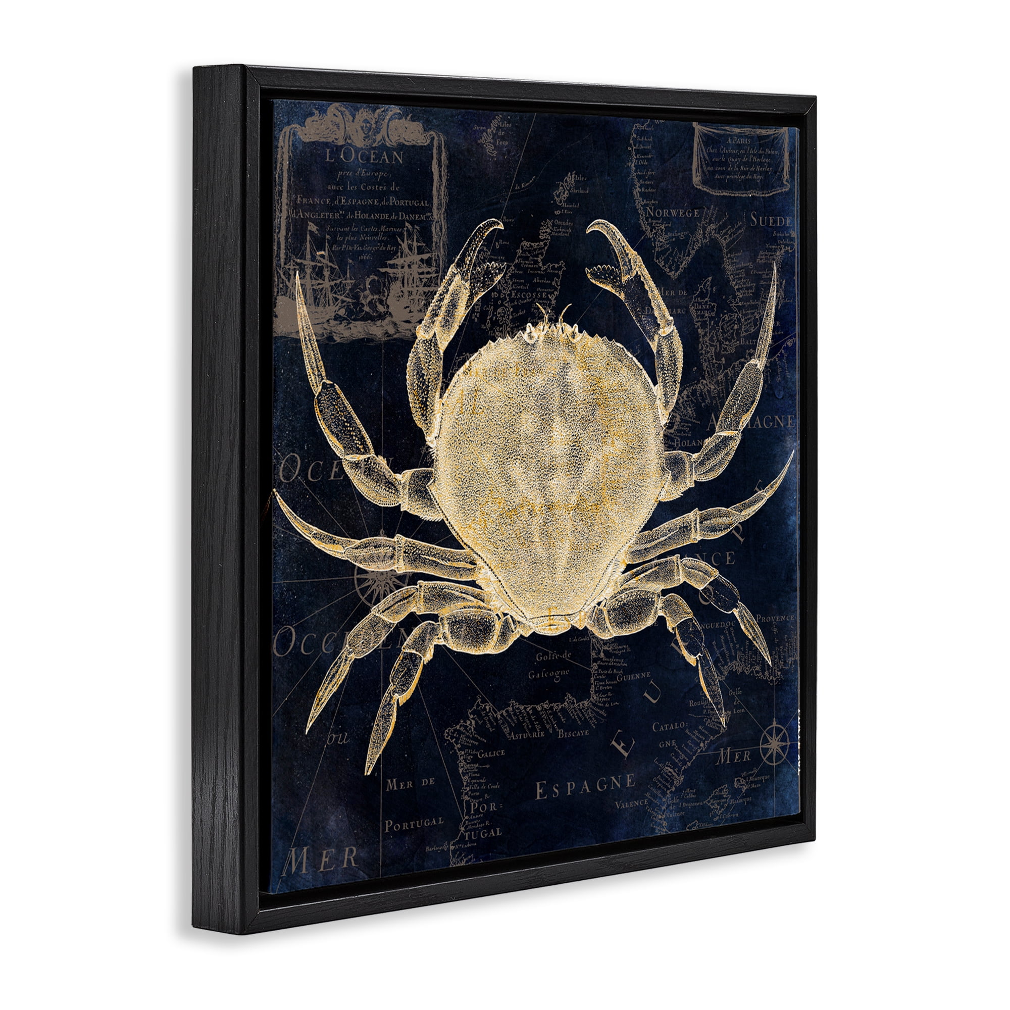 Crab Contour over Map Black Framed Floater Canvas Wall Art, design by Sasha