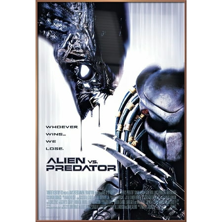 Alien Vs. Predator - Framed Movie Poster (Regular Style / White) (Size: 27" X 40") (Shiny Copper Aluminum Frame)