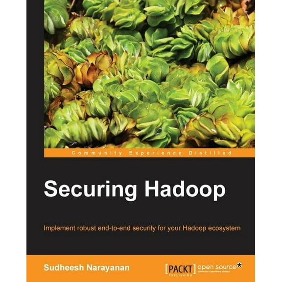 Securing Hadoop (Paperback)