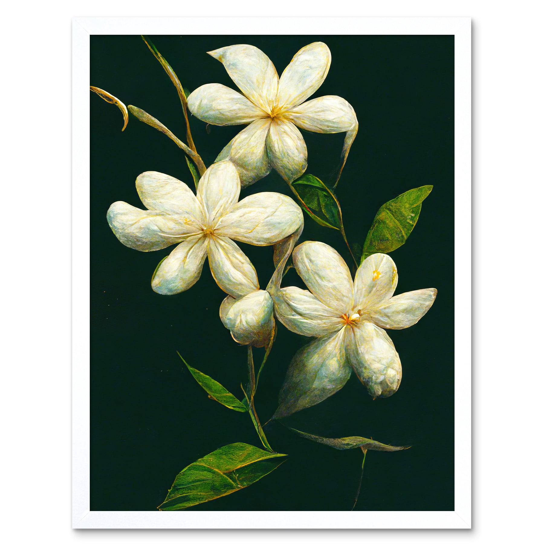Jasmine Flower Blooms Realism Painting With Black Art Print Framed ...