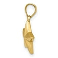 thumbnail image 2 of 14K Yellow Gold Charm Pendant Polished Small Star, 2 of 4