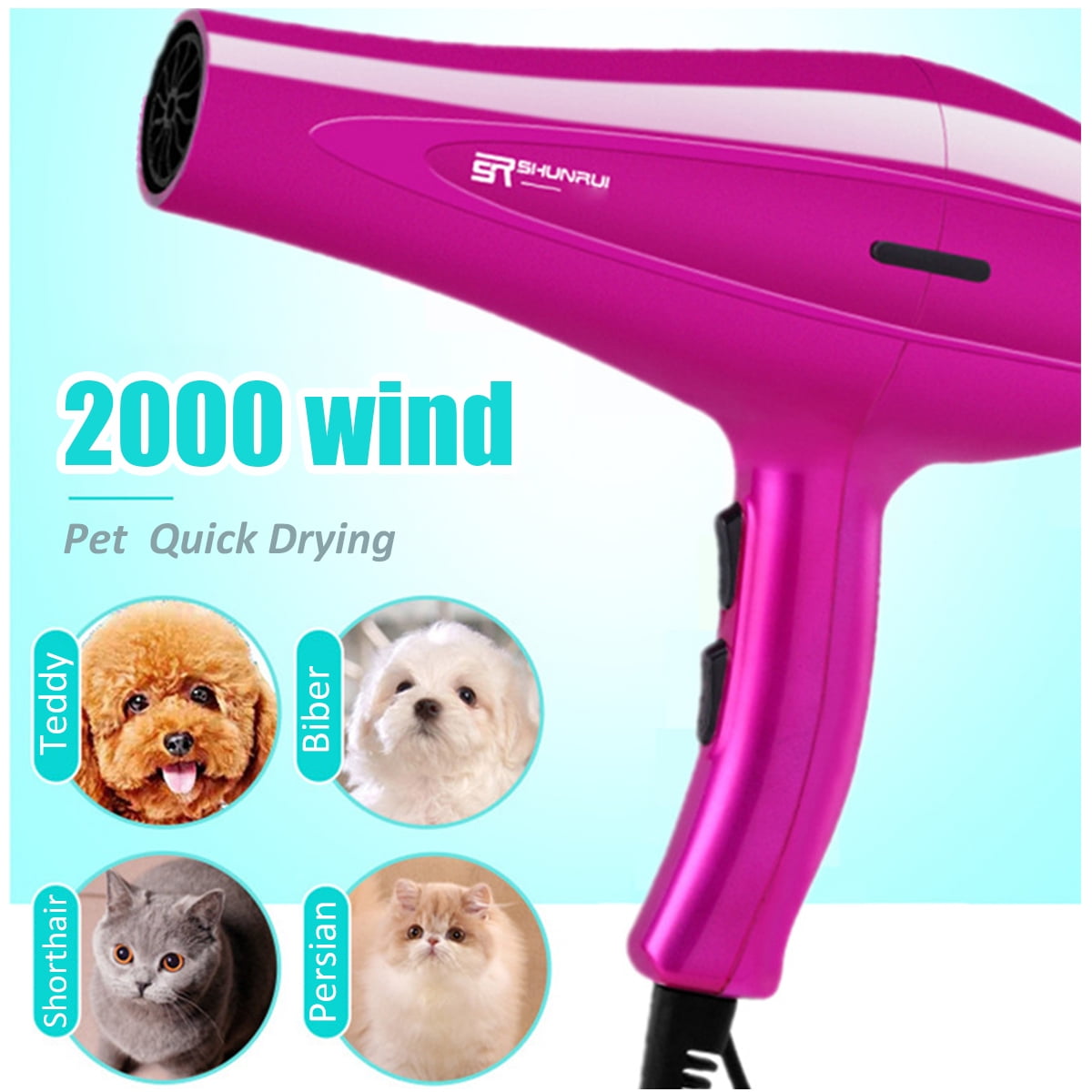 dog hair dryer pets at home
