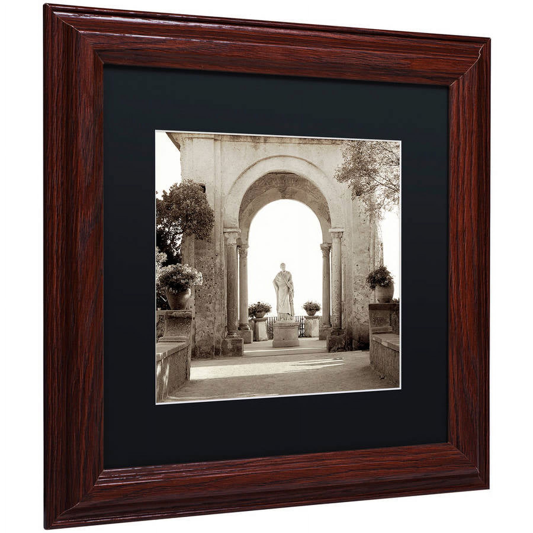 Trademark Fine Art "Giardini Italiano VIII" Canvas Art by Alan Blaustein, Black Matte, Wood Frame