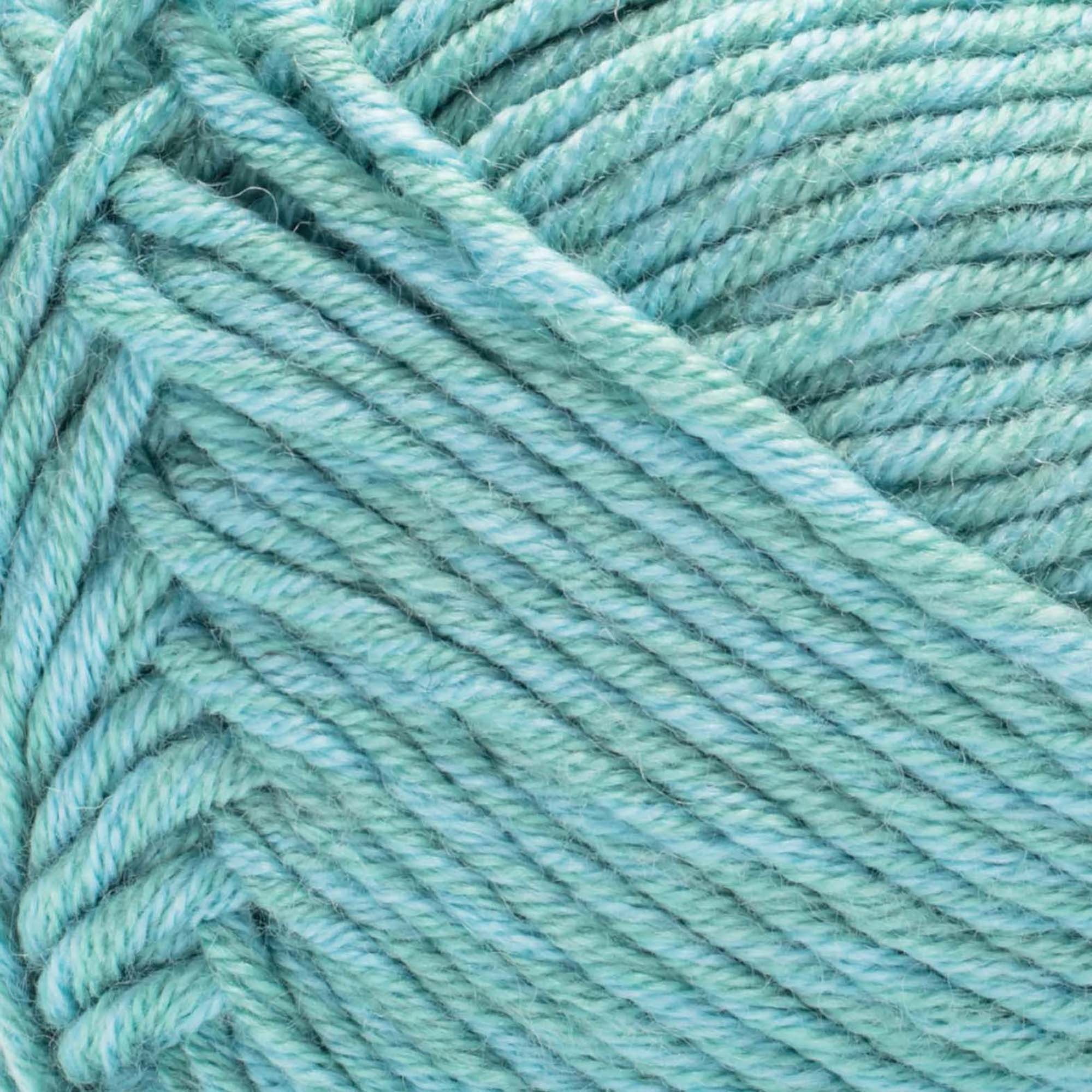 Caron® Simply Me Montage™ #5 Bulky Blend Yarn, Abalone 5oz/140g 172 Yards (3 Pack)