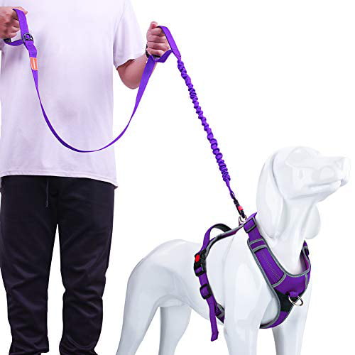 Dog Harness with Handle AdventureMore No Pull Choke Free Dog Halter Harness
