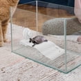 thumbnail image 4 of Raindrops Aquatic Turtle Tank Floating Platform in White with Suction Cup for Easy Attachment, 4 of 8