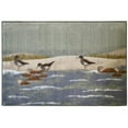 thumbnail image 1 of Mayberry Rug SEA5281 30X46 30 x 46 in. Seaside Sandpiper Beach Area Rug, 1 of 1