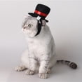thumbnail image 3 of Mascota perro gato sombrero de copa disfraz de Cosplay sombrero de copa negro Navidad Halloween Cosplays accesorios suministros de disfraces de vacaciones, 3 of 5