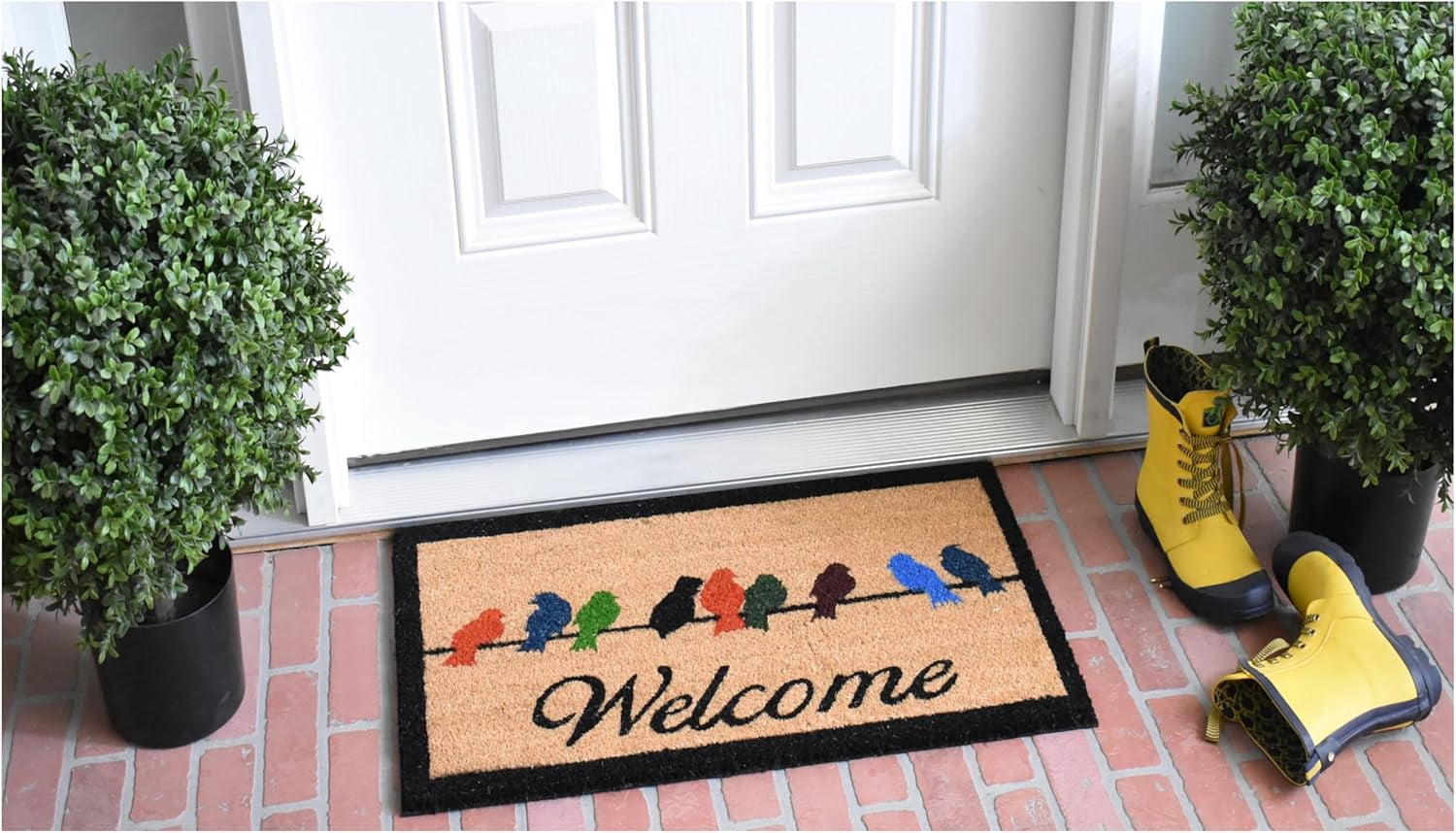 Calloway Mills Birds on a Wire Outdoor Doormat