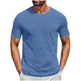 thumbnail image 1 of Économies d'Été 2025 Mode Décontractée pour Hommes Pull-Over Couleur Unie Manches Courtes Col Rond Blouses, 1 of 7