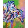 thumbnail image 2 of Wallich, Richard 12x14 Gold Ornate Wood Framed with Double Matting Museum Art Print Titled - Zebra, 2 of 4