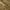 Mocha, variant on Addison Rugs Chantille Indoor/Outdoor Transitional Stripes Mocha Washable Rectangle Rug, 10' x 14'