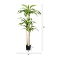thumbnail image 3 of 5' Artificial Dracaena Tree with Black Plastic Pot, 1pc/set, 3 of 5