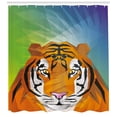 thumbnail image 3 of Safari Shower Curtain, Illustration of a Portrait Animal Artwork of a Tiger Staring Wild Jungle Creatures, Fabric Bathroom Set with Hooks, 69W X 75L Inches Long, Multicolor, by Ambesonne, 3 of 3
