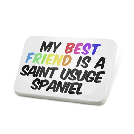 Porcelein Pin My best Friend a Saint-Usuge Spaniel Dog from France Lapel Badge –