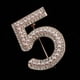 thumbnail image 4 of 6 Broches con El Número 5 para Mujer, Accesorios de Vestir Adecuados para Cualquier Ocasión, Dorado, 4 of 7