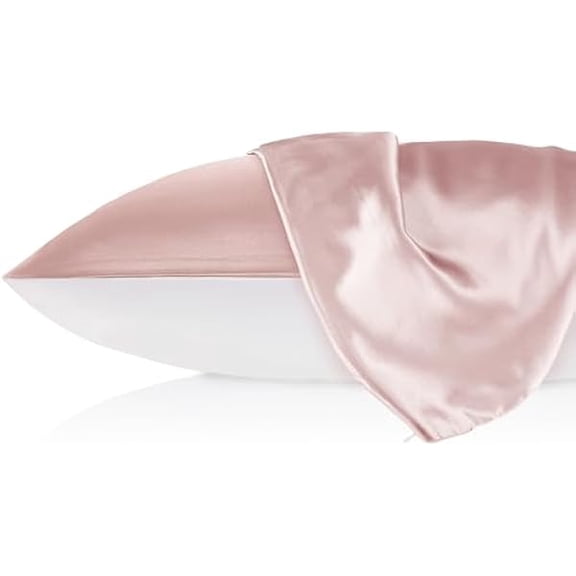 LILYSILK 1PC Silk Pillowcase for Hair and Skin, 19 Momme 100% Mulberry Silk with Cotton Underside, Soft Hypoallergenic Silk Bed Pillow Case with Hidden Zipper Bag Package(Standard 50x75cm, Rosy Pink)
