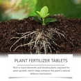 thumbnail image 6 of Luxcidy Home Gardening Universal Slow-Release Tablets Organic Fertilizer (22 Tablets), Concentrated Universal Fertilizer Easy Plant Food That Makes Feeding Pants a Breeze, 6 of 9