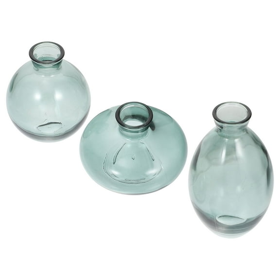 3 Pcs Mini Pots for Plants Hydroponic Flower Arrangement Vase Novelty Clear Glass Vases Rustic Table Decor Terrariums Desktop