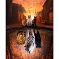 thumbnail image 1 of Cuadros Decorativos Kit de pintura de diamantes reflejo de gato imagen redonda completa de diamantes de imitación JShteea Nuevos Originales, 1 of 8