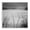 Frozen Lake Footpath Tracks, variant on Stupell Industries Tropical Clear To The Horizon Black Framed Print Under Glass, 13 x 13, by Chip Forelli