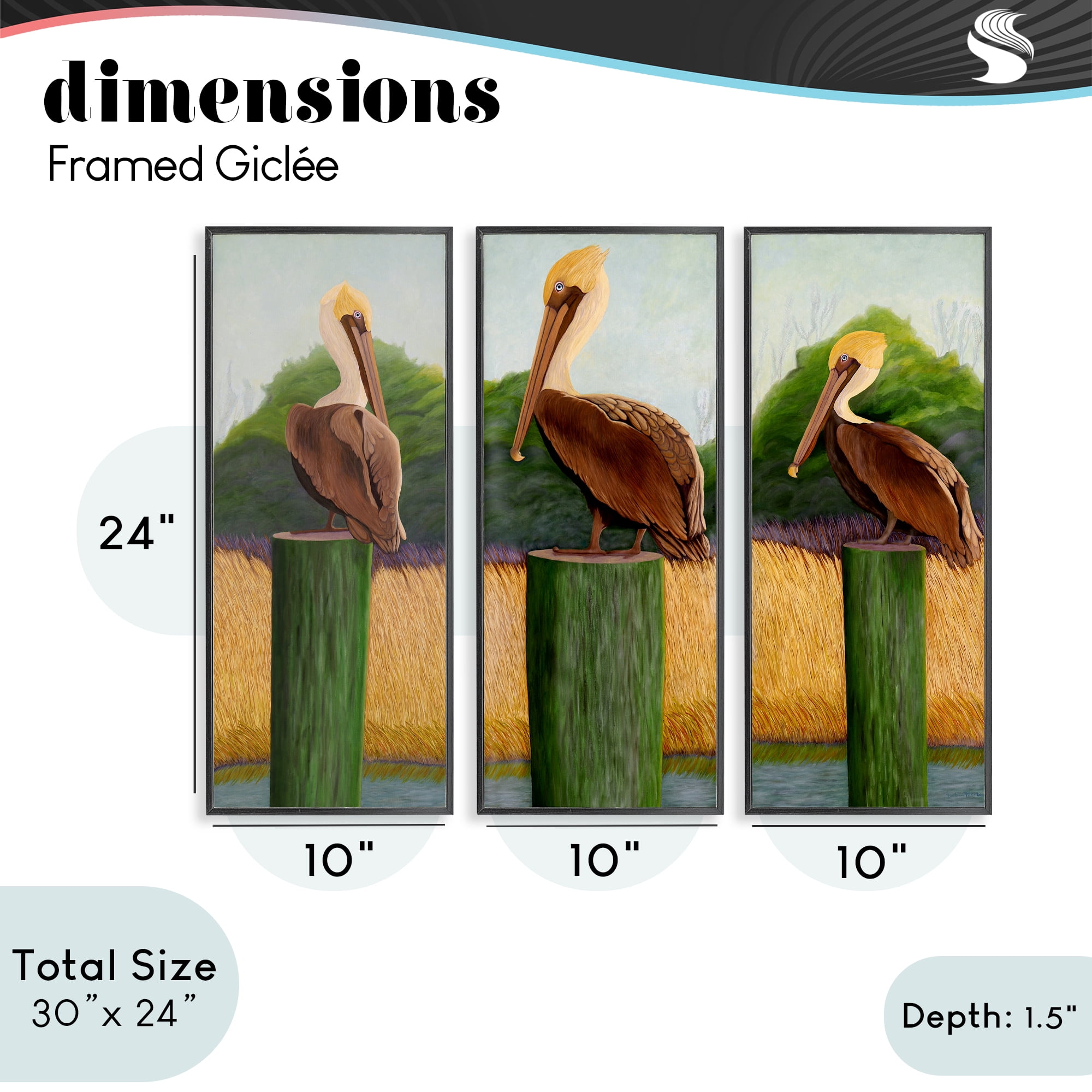 Stupell Industries Blue Eyed Pelicans in Marsh 3 Piece Black Framed Giclee Art Set, design by Barbara Fallenbaum