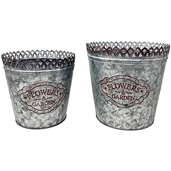 S2 Planter Galvanized Metal Bucket Container Organizer for Flowers Succulent Decorative Plants Indoor Outdoor Flowers & Garden 8.5inch & 7.5inch H,Homestead$$Garden & Patio