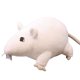 thumbnail image 1 of Tholdsy Ratón de juguete decoración de adorno de habitación niños niñas rata muñecas niños regalo simulación juguetes de peluche juguetes de Animales de peluche y juguetes de peluche No.1 Tholdsy FN007478-01, 1 of 6