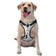thumbnail image 1 of Balery Cowboy Arnés para Perros Grandes Antitirones, Arnés con Correa para Gato, Arnés Tipo Chaleco para Perros Pequeños-Small, 1 of 6