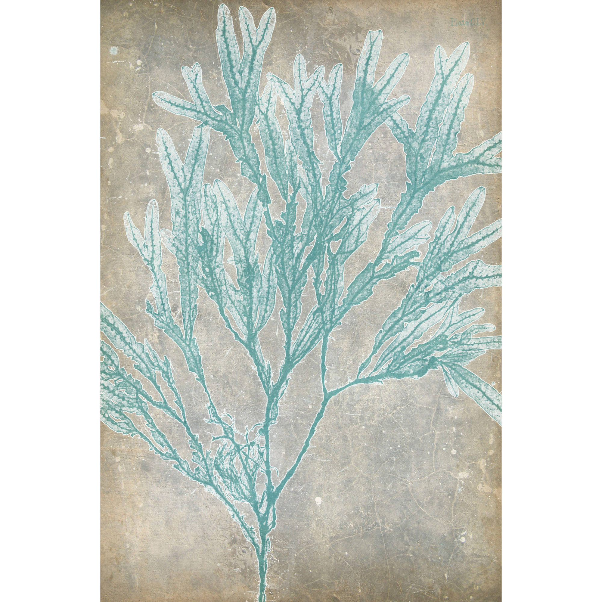 Marmont Hill "Spa Seaweed I" Painting Print on Wrapped Canvas
