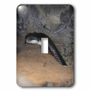 Black & Decker 989864 Lightweight Snake Wand with 9-Pattern Spray