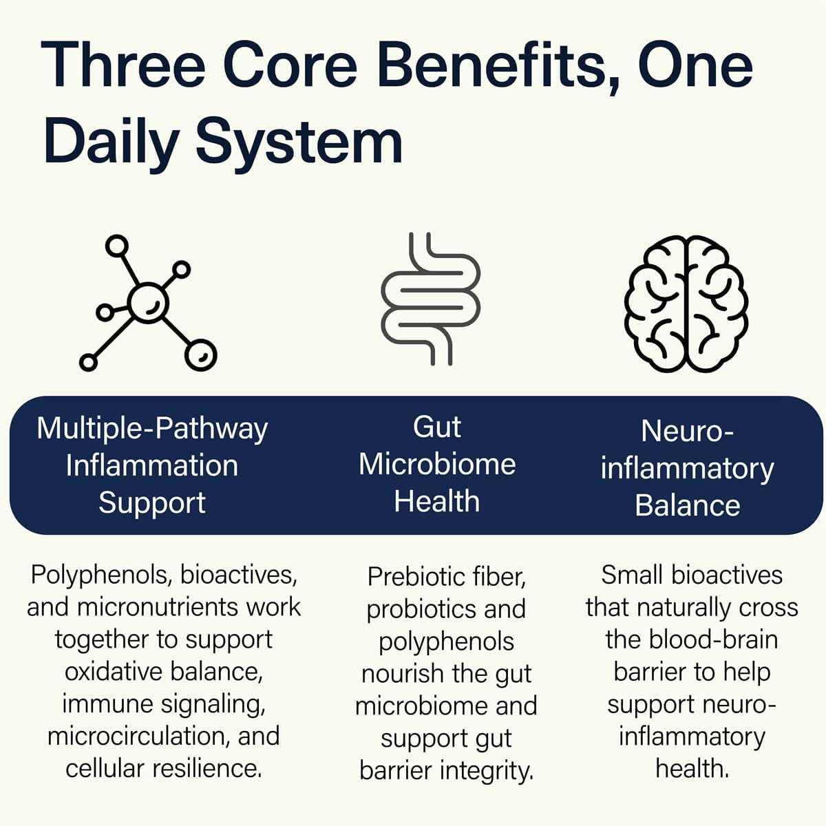 ACEND Advanced Inflammatory Support Powdered Drink Mix Evidence Based Polyphenols Prebiotic Fiber Probiotics D3 K2 Minerals and Electrolytes Non GMO