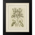 thumbnail image 2 of Curtis 12x14 Black Modern Framed Museum Art Print Titled - Small Tinted Botanical I, 2 of 5