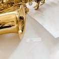 thumbnail image 4 of GAXIRE Clarinet Holder Reed Guard Case Plastic For Live Performances 1Pcs, 4 of 8