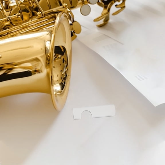 HOOWIFFY Alto Saxophone Reed Guard Case Plastic Holder for Practice - 1 Piece Sax Reeds Protector