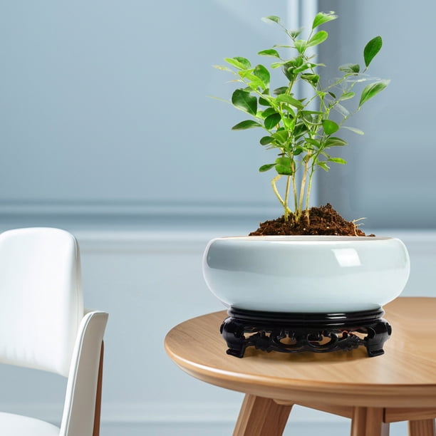 Soportes de Plantas para Plantas de Interior Jardín de Oficina de Tazón de Cerámica China de Interior con Soporte Tazón de Bonsai Hidropónico Jardín Interior Y Exterior