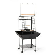 Prevue Pet Products Wrought Iron Cockatiel Parrot Playstand, Black