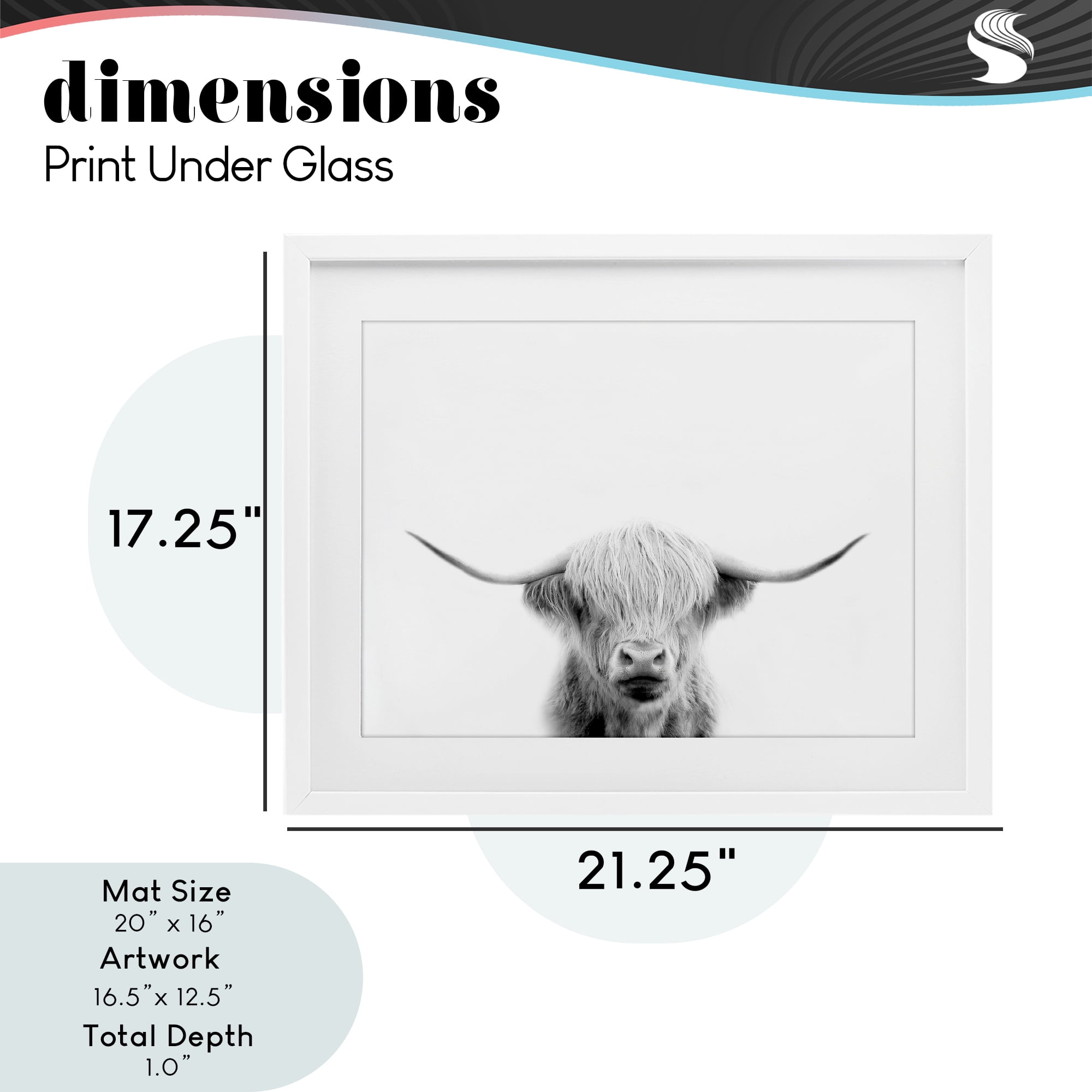 Stupell Industries Scottish Cow Portrait White Framed Print Under Glass, design by Leah Straatsma