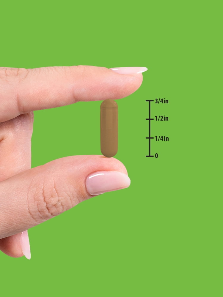 Buy Ceylon Cinnamon Capsules 2000mg 60 count NonGMO & Gluten