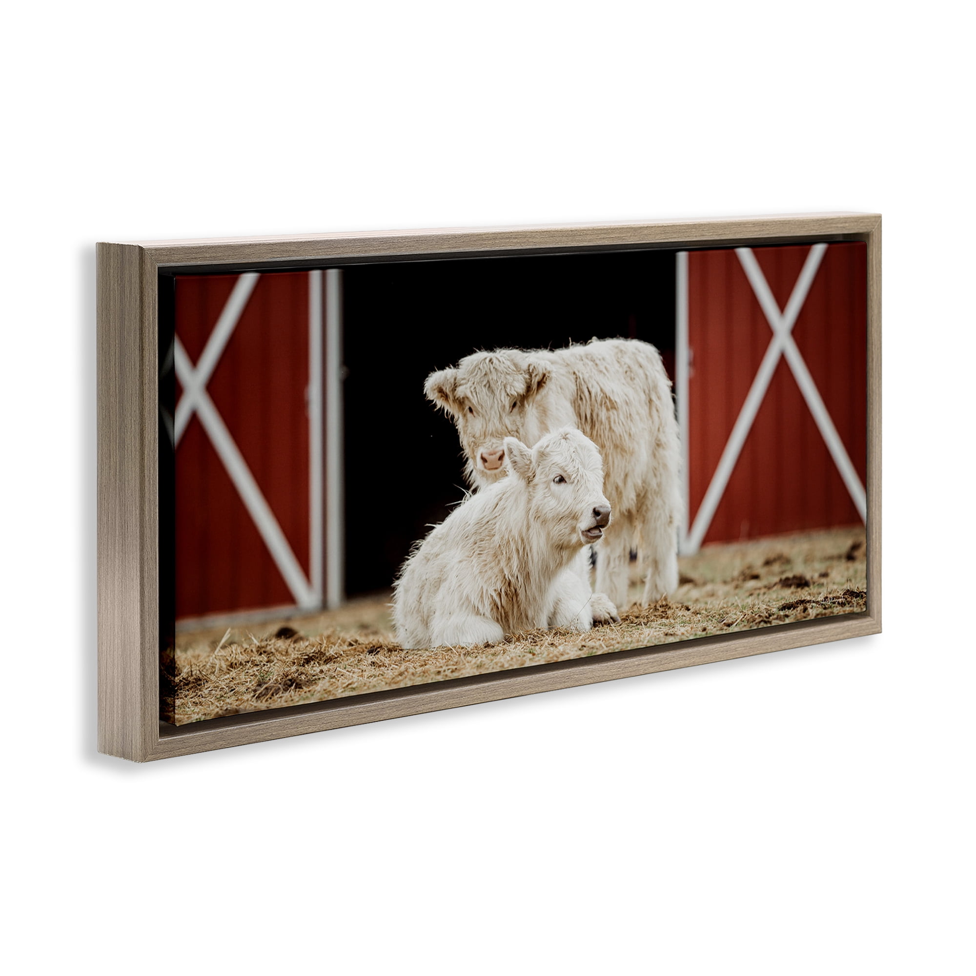Stupell Industries White Cattle Barn Animals & Insects Photography Brown Floater Framed Canvas Art Print Wall Art, 25 x 11