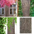 thumbnail image 4 of simhoa Artificial Tree Bark Ideal Coverage Simulation Bark for Columns Walls Floors 100cmx30cm, 4 of 8
