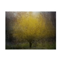 Canvas Wall Art - Nel Talen 'Town Square' Wall Art for Living Room, Bedroom, or Office Décor by Trademark Fine Art - 32 x 24 Inches